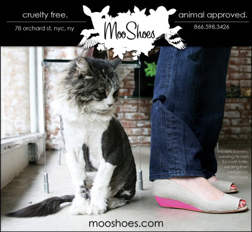 Moo Shoes